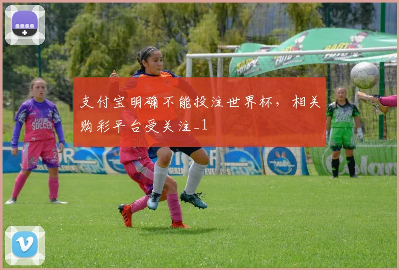 支付宝明确不能投注世界杯,相关购彩平台受关注_1