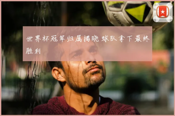 世界杯冠军归属揭晓 球队拿下最终胜利
