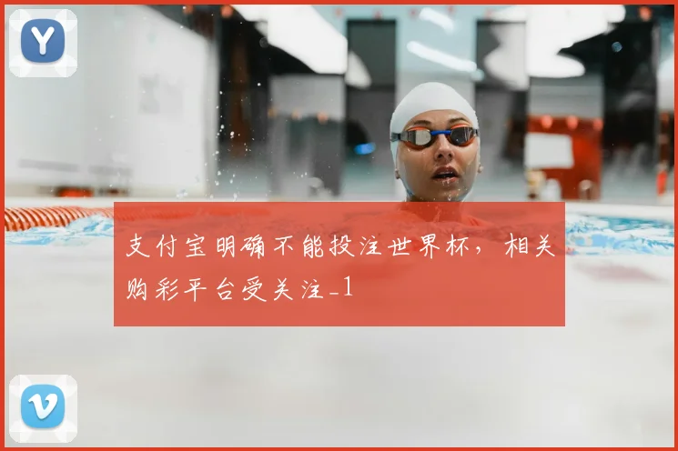 支付宝明确不能投注世界杯,相关购彩平台受关注_1