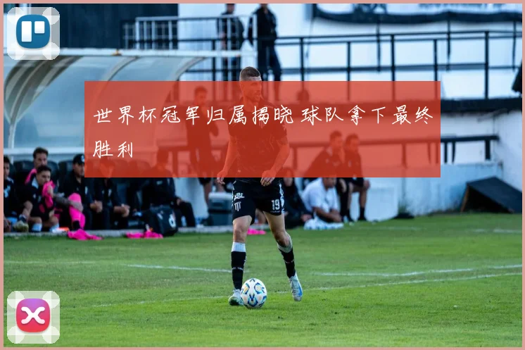 世界杯冠军归属揭晓 球队拿下最终胜利