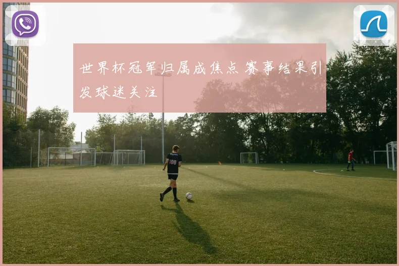世界杯冠军归属成焦点 赛事结果引发球迷关注
